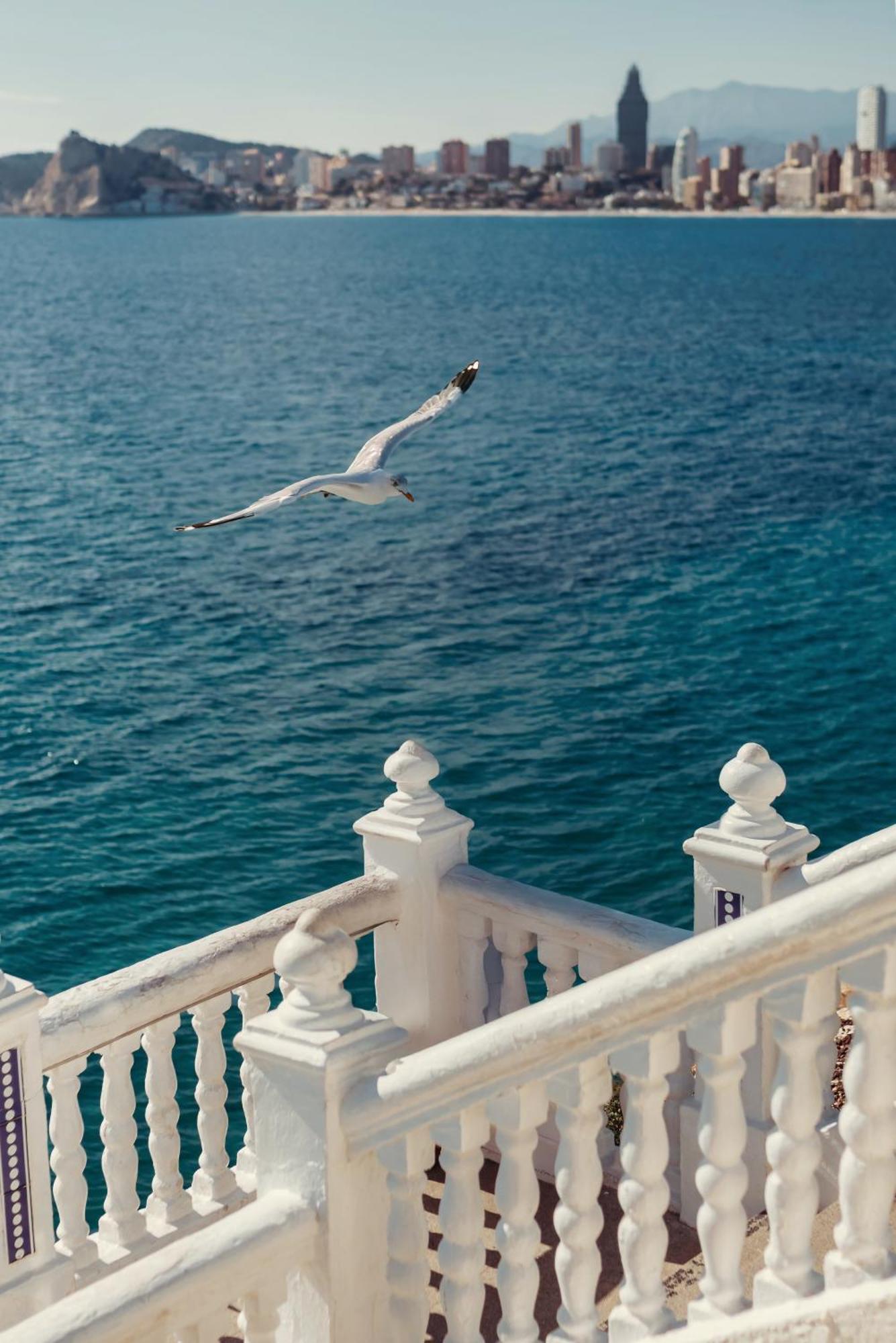 Hotel Primavera Benidorm Dış mekan fotoğraf